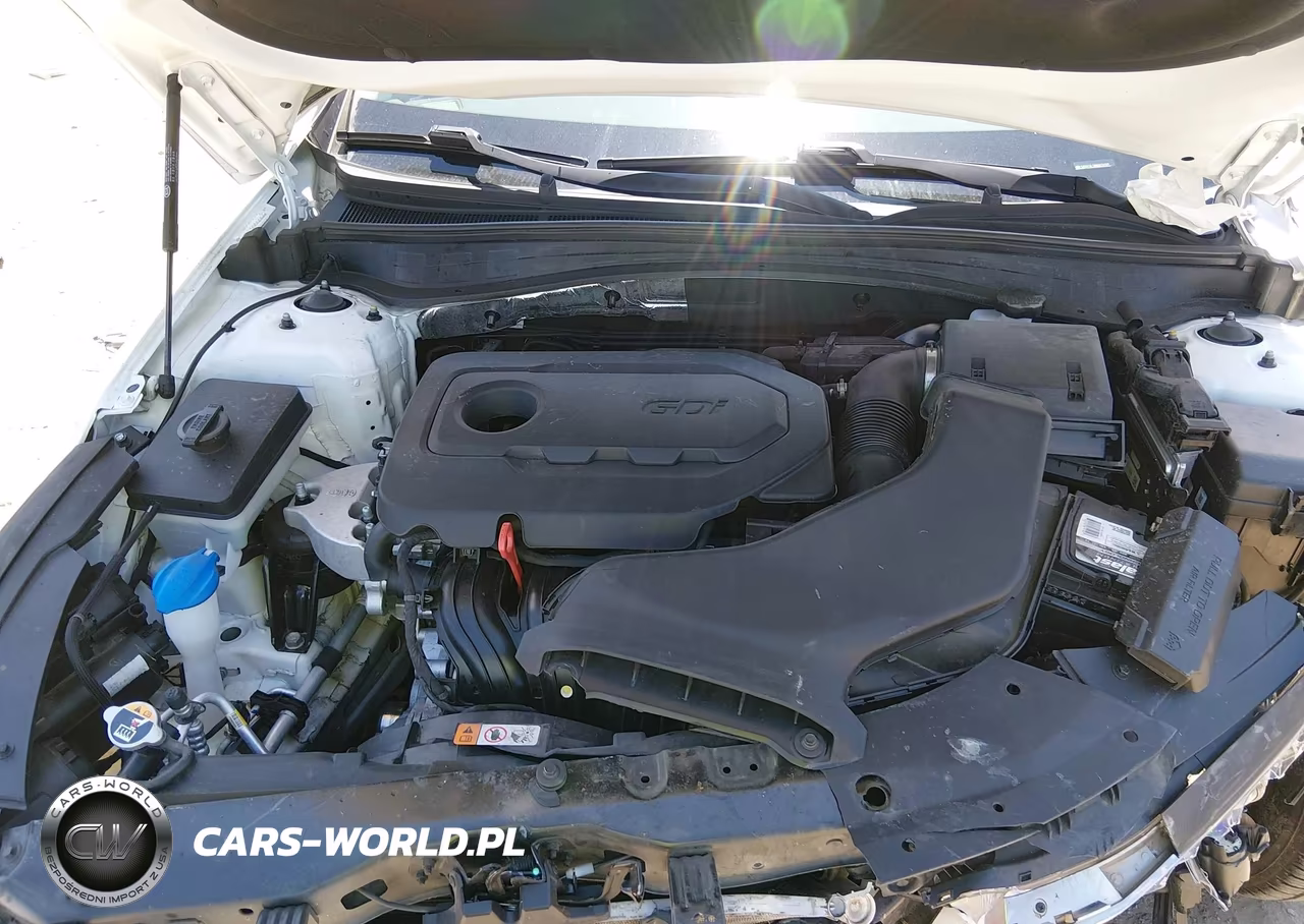 2019 Kia Optima Lx VIN:5XXGT4L39KG374787 - 10