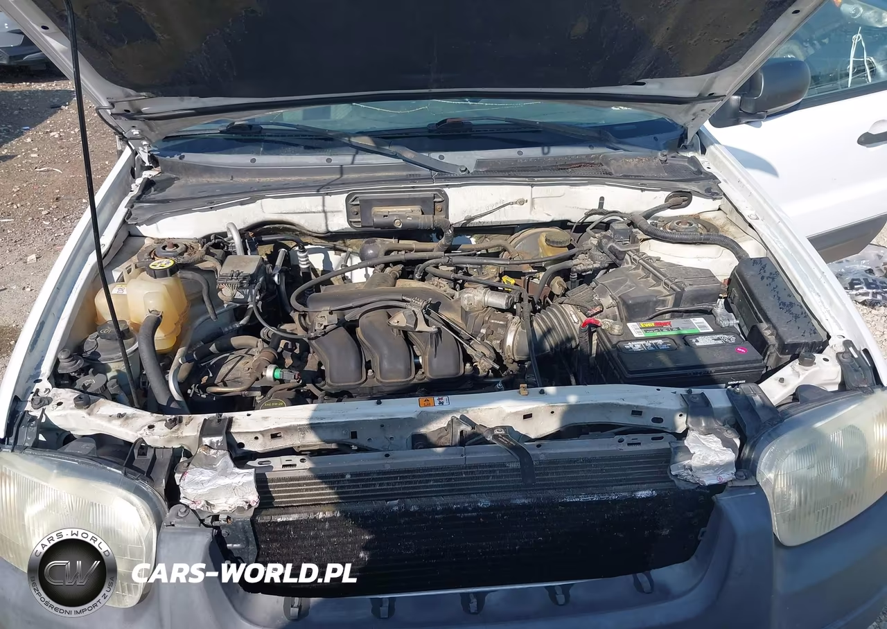 2003 Ford Escape Xlt VIN:1FMYU93173KD17858 - 10