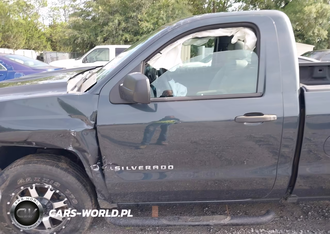 2017 Chevrolet Silverado 1500 Wt VIN:1GCNCNEH6HZ335165 - 19