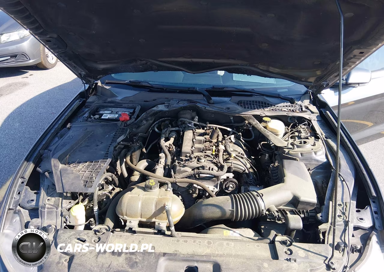 2016 Ford Mustang Ecoboost VIN:1FA6P8TH3G5263902 - 10