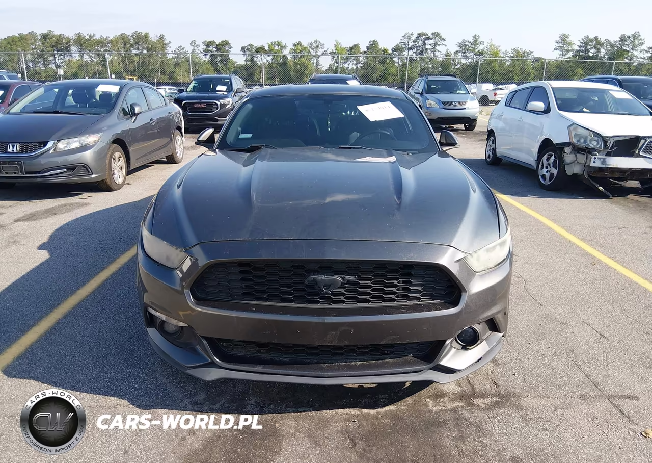 2016 Ford Mustang Ecoboost VIN:1FA6P8TH3G5263902 - 12