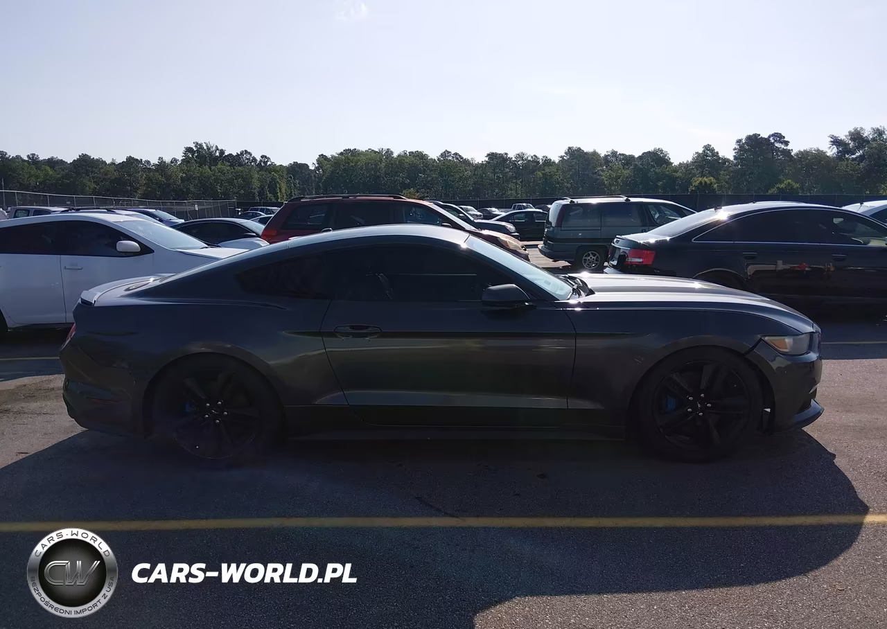 2016 Ford Mustang Ecoboost VIN:1FA6P8TH3G5263902 - 13