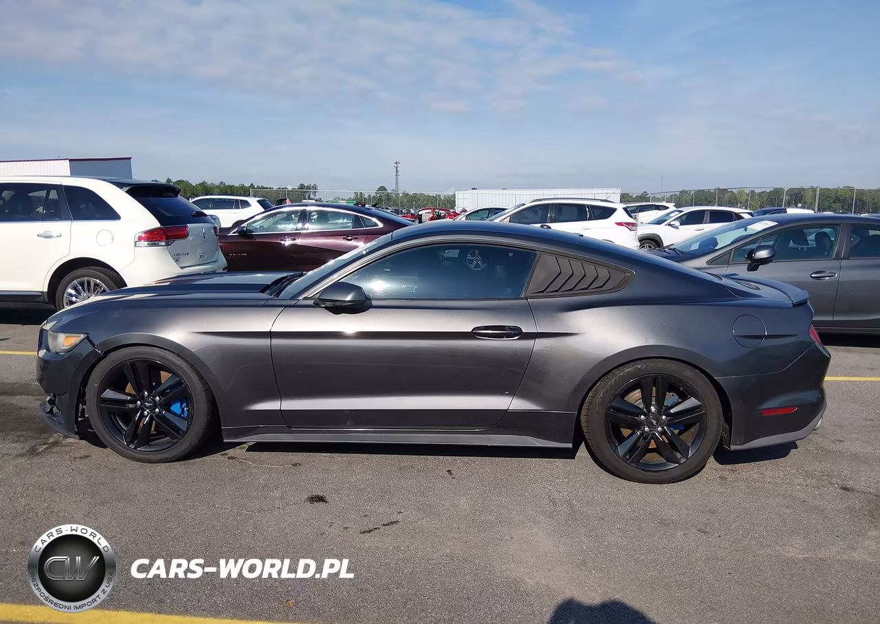 2016 Ford Mustang Ecoboost VIN:1FA6P8TH3G5263902 - 14
