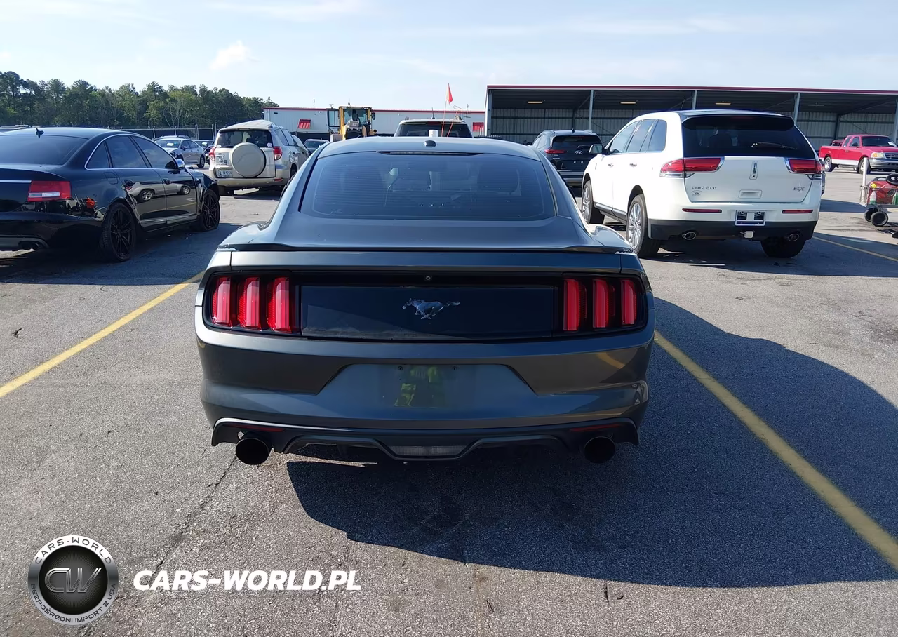 2016 Ford Mustang Ecoboost VIN:1FA6P8TH3G5263902 - 16