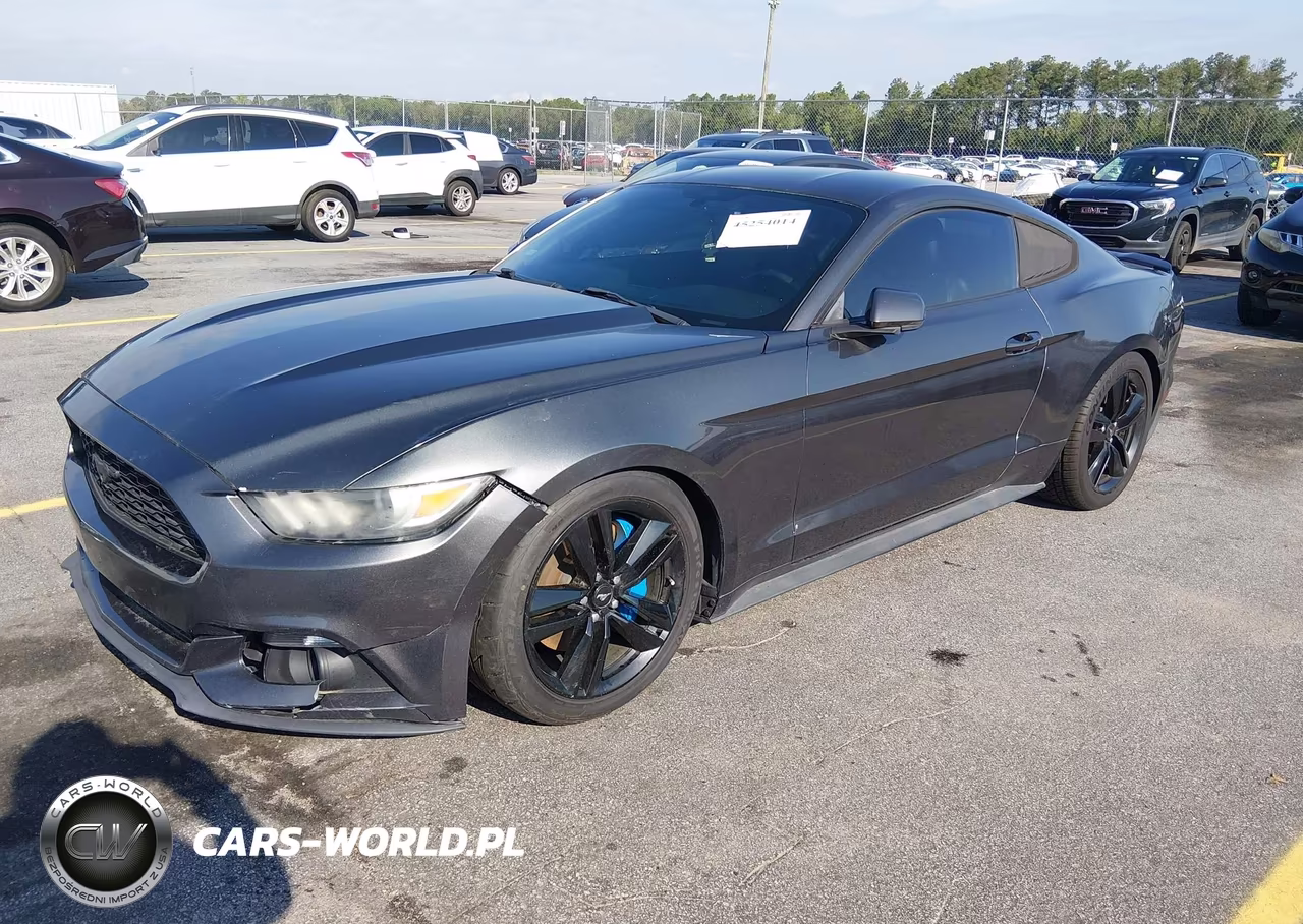 2016 Ford Mustang Ecoboost VIN:1FA6P8TH3G5263902 - 2