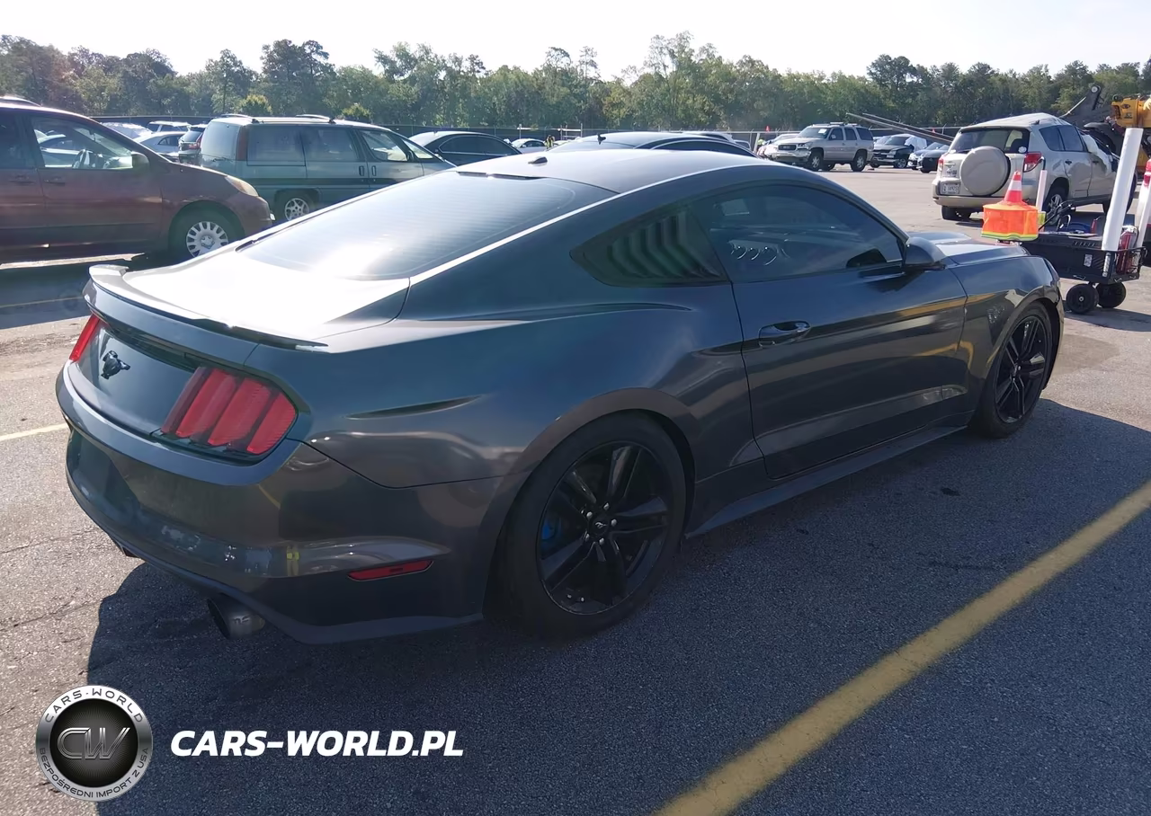 2016 Ford Mustang Ecoboost VIN:1FA6P8TH3G5263902 - 4