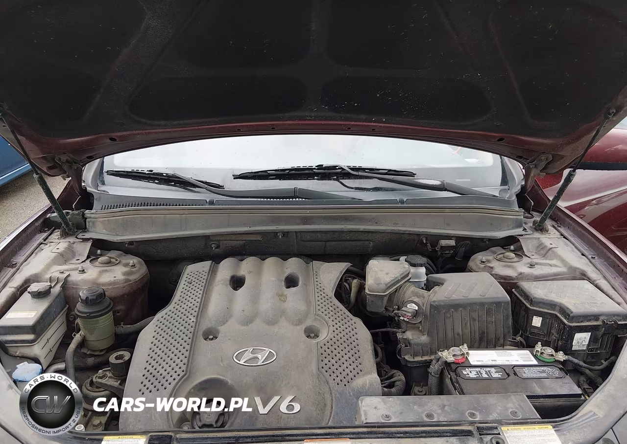 2007 Hyundai Santa Fe Gls VIN:5NMSG13D07H123588 - 10