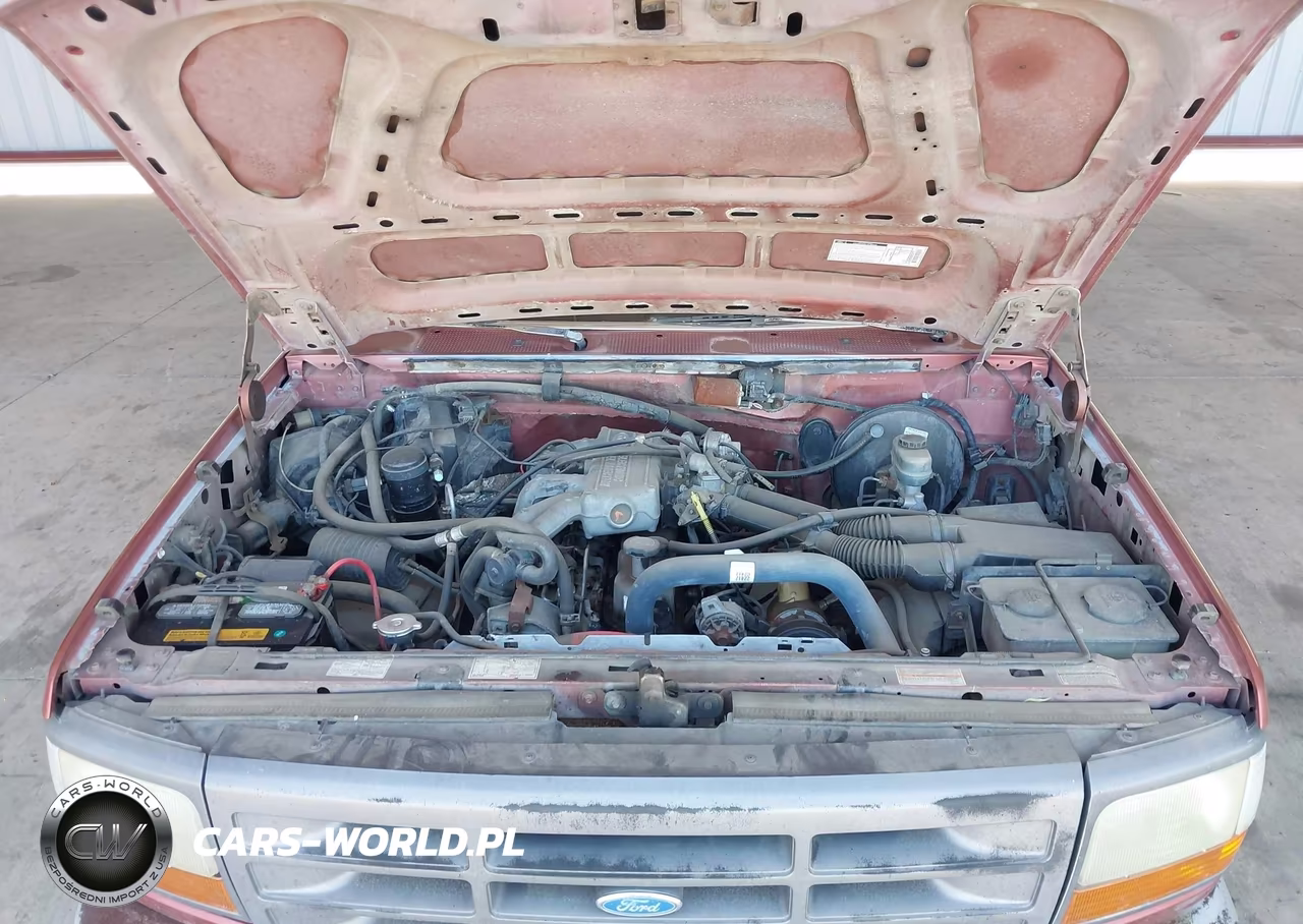 1994 Ford F150 VIN:1FTDF15Y5RLA84963 - 10