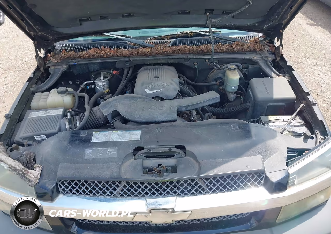 2002 Chevrolet Avalanche 1500 VIN:3GNEC13T12G284513 - 10