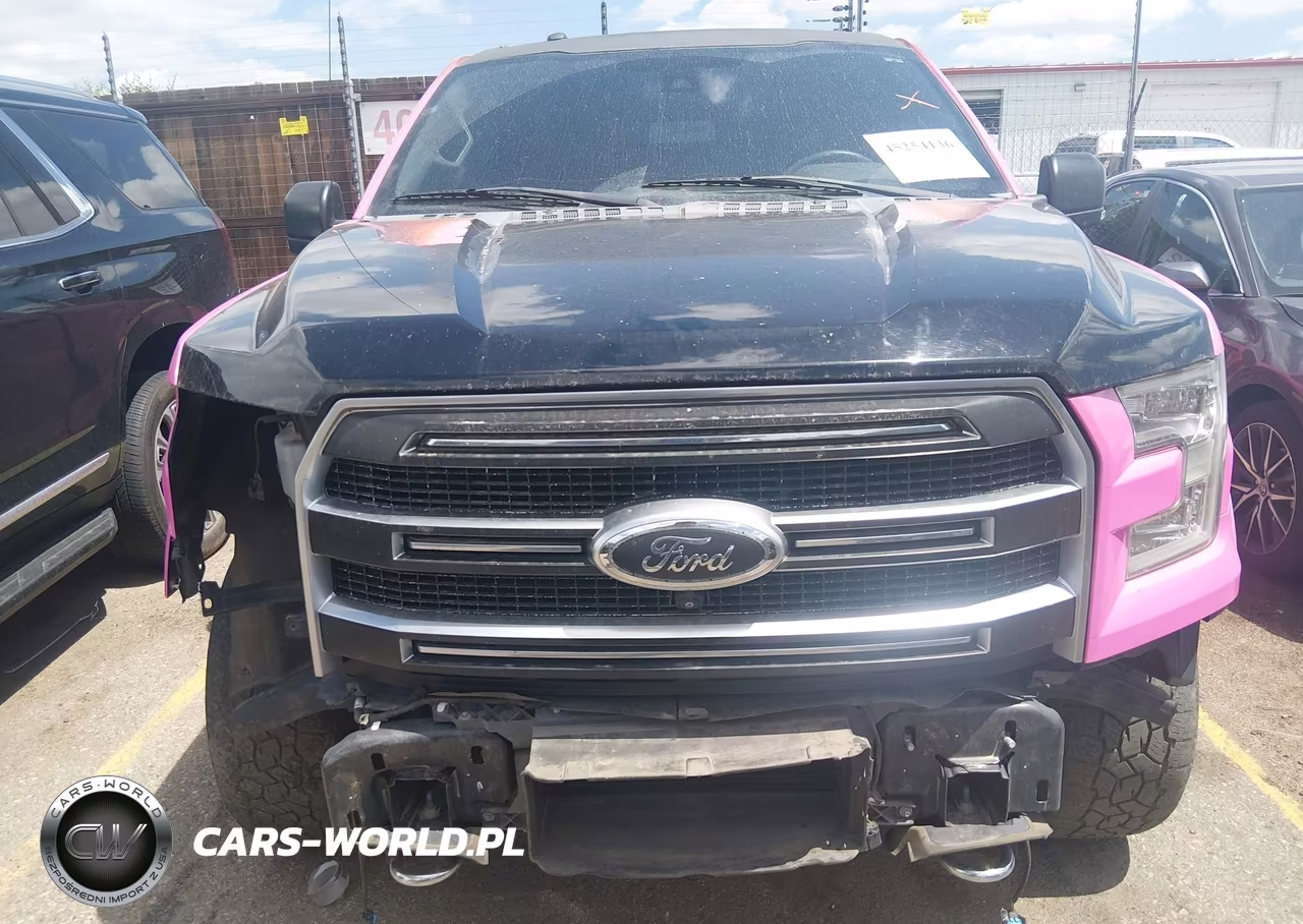 2016 Ford F-150 Platinum VIN:1FTEW1EG9GFD20425 - 13