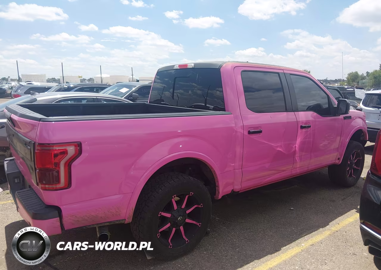 2016 Ford F-150 Platinum VIN:1FTEW1EG9GFD20425 - 14