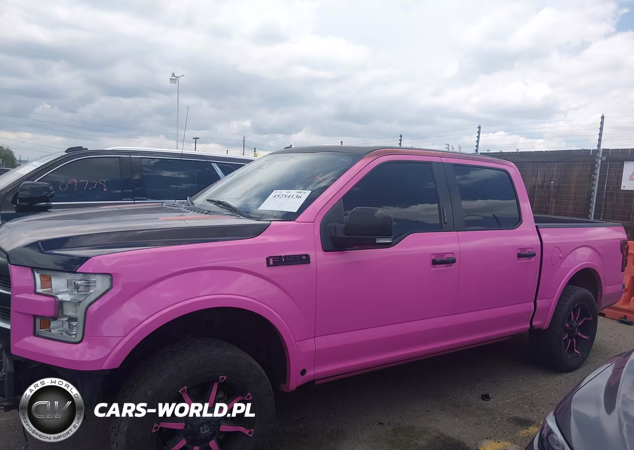 2016 Ford F-150 Platinum VIN:1FTEW1EG9GFD20425 - 15