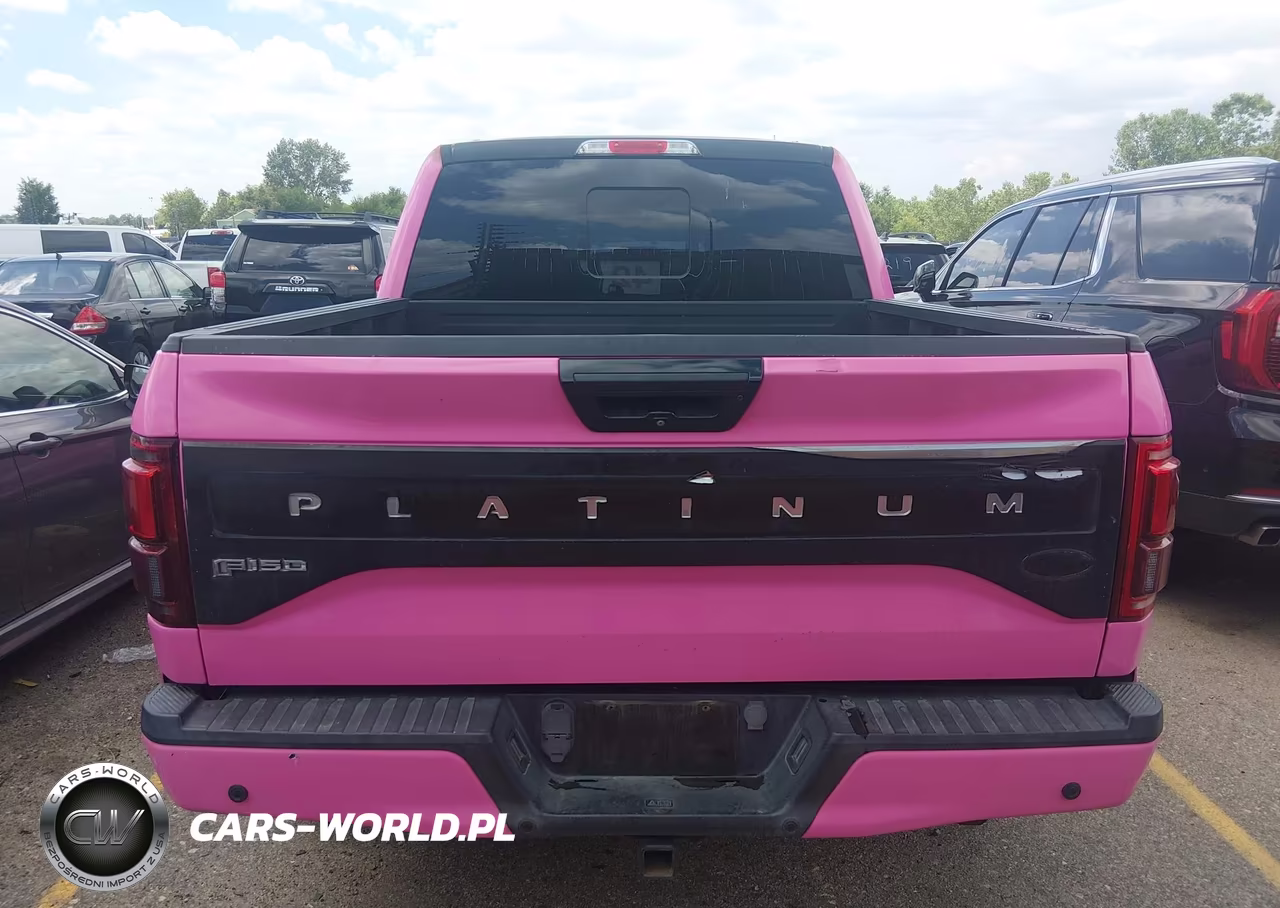 2016 Ford F-150 Platinum VIN:1FTEW1EG9GFD20425 - 17