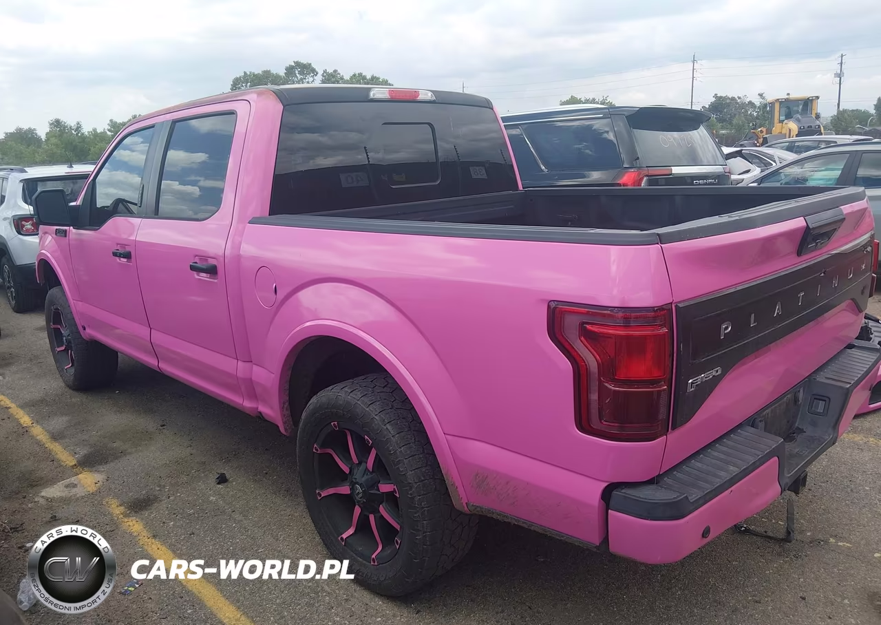 2016 Ford F-150 Platinum VIN:1FTEW1EG9GFD20425 - 3