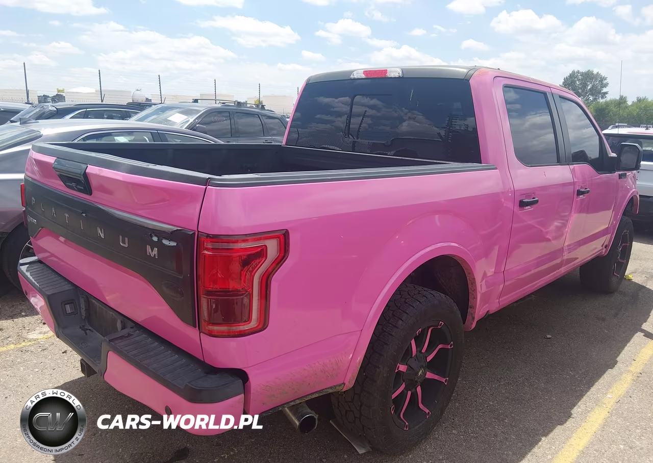 2016 Ford F-150 Platinum VIN:1FTEW1EG9GFD20425 - 4