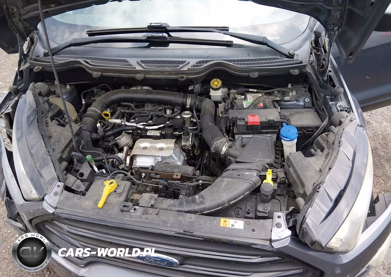 2018 Ford Ecosport S VIN:MAJ3P1RE5JC194169 - 10