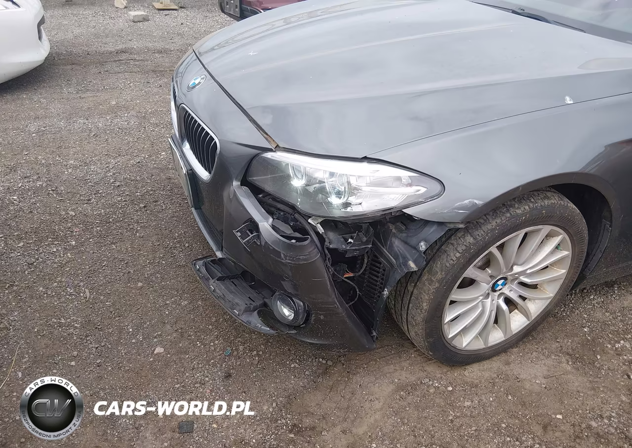 2015 BMW 528I xDrive VIN:WBA5A7C52FD625582 - 6