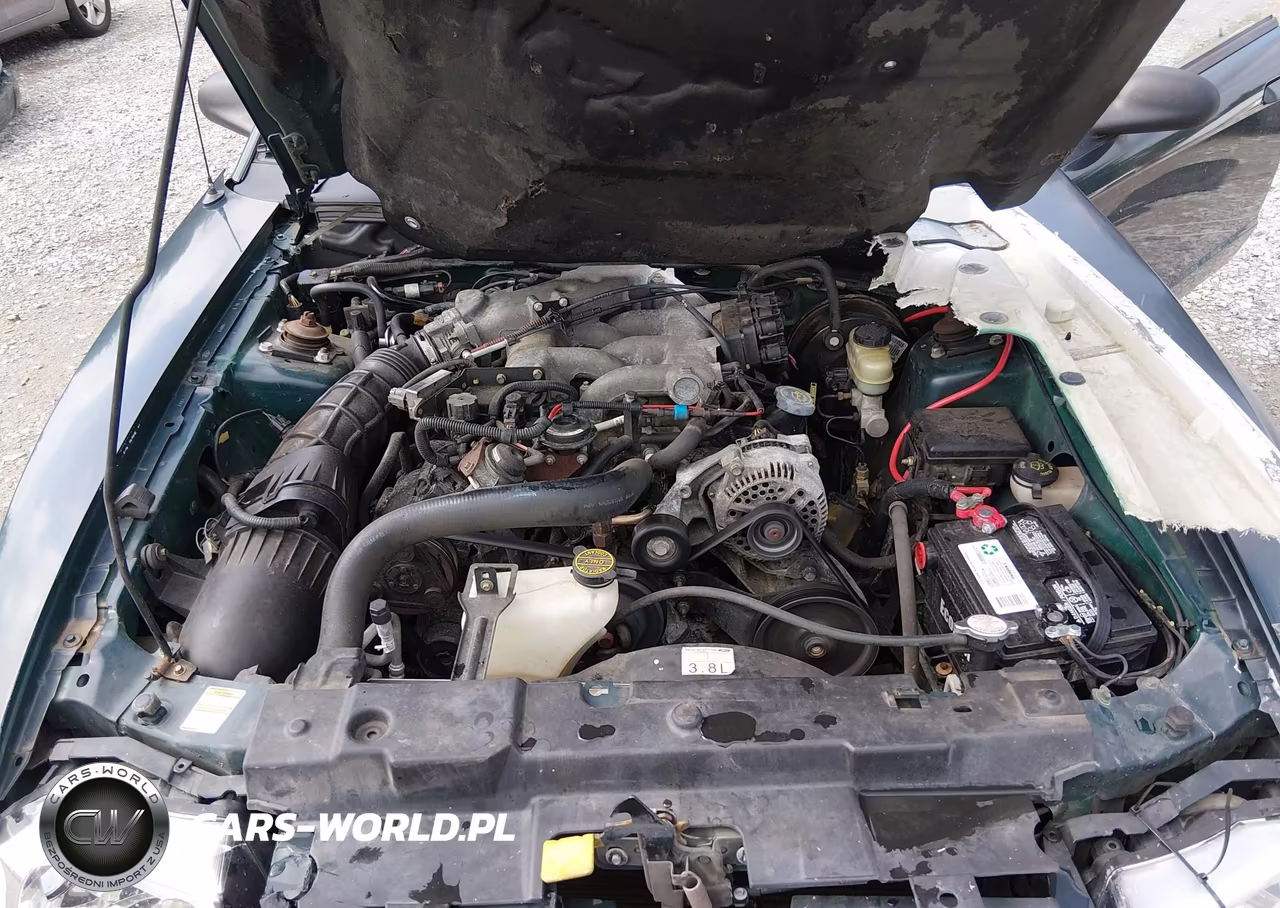 1999 Ford Mustang VIN:1FAFP4445XF145316 - 10