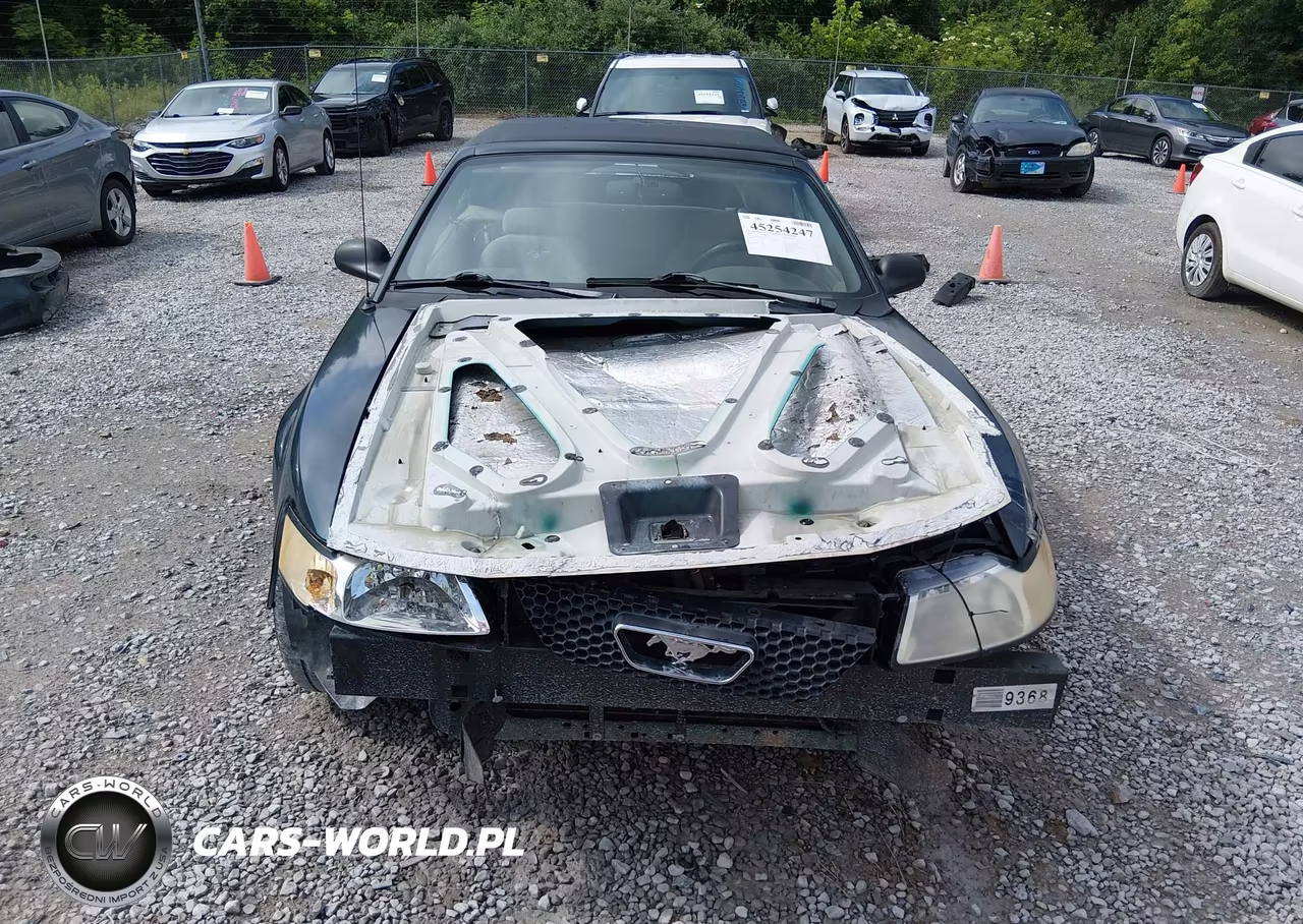 1999 Ford Mustang VIN:1FAFP4445XF145316 - 12