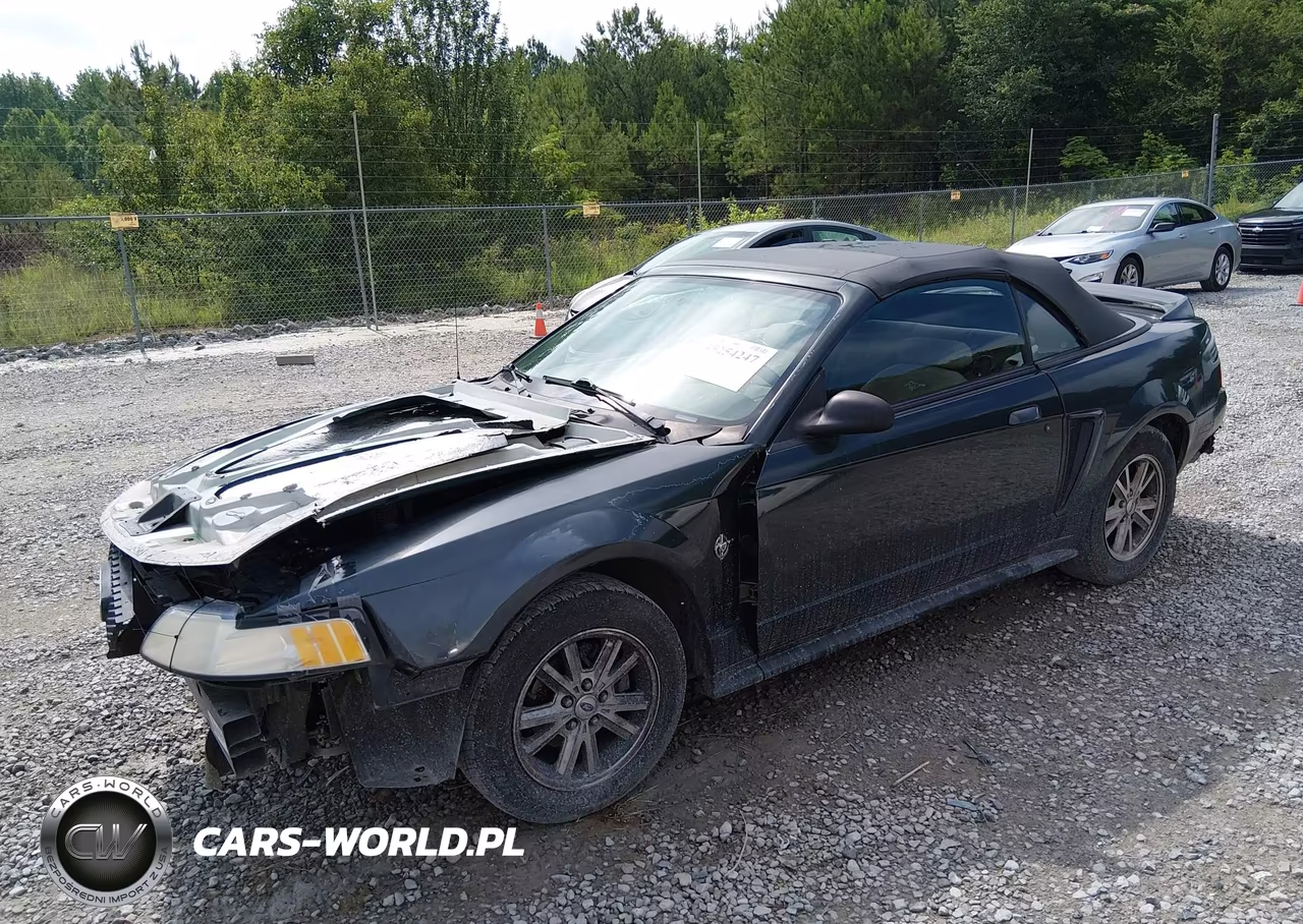 1999 Ford Mustang VIN:1FAFP4445XF145316 - 2
