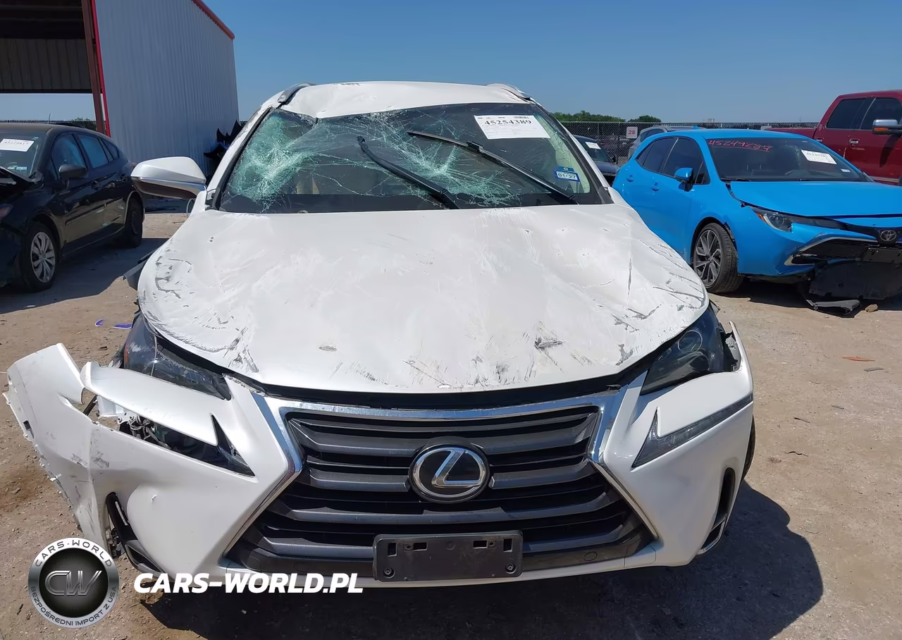 2016 Lexus Nx 200T VIN:JTJYARBZ2G2043217 - 9
