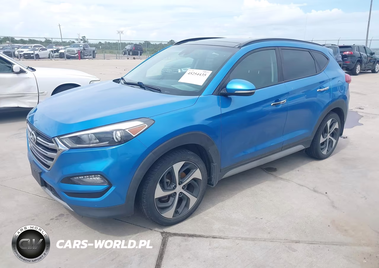 2018 Hyundai Tucson Limited VIN:KM8J3CA29JU734445 - 2