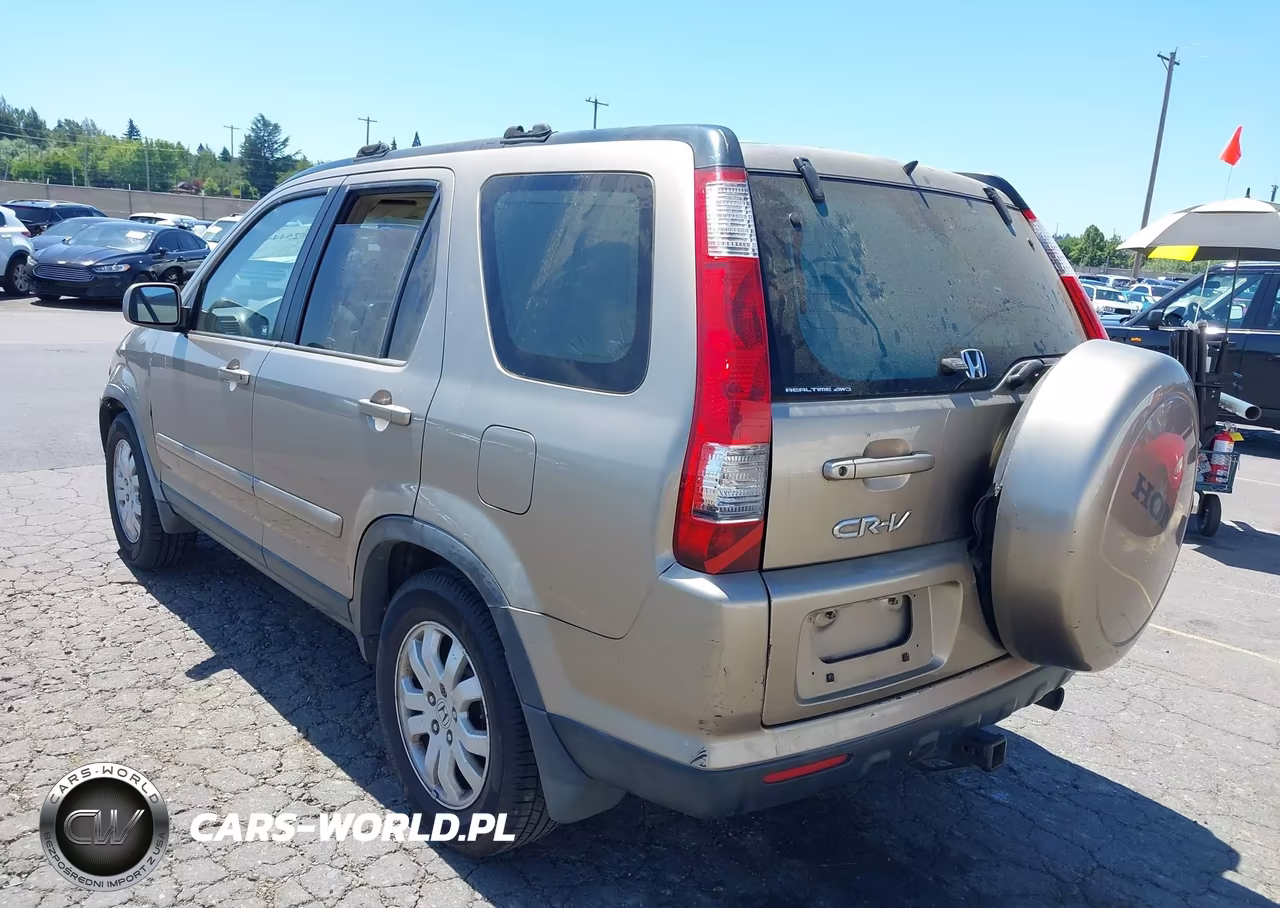 2005 Honda Cr-V Se VIN:JHLRD78965C035982 - 3