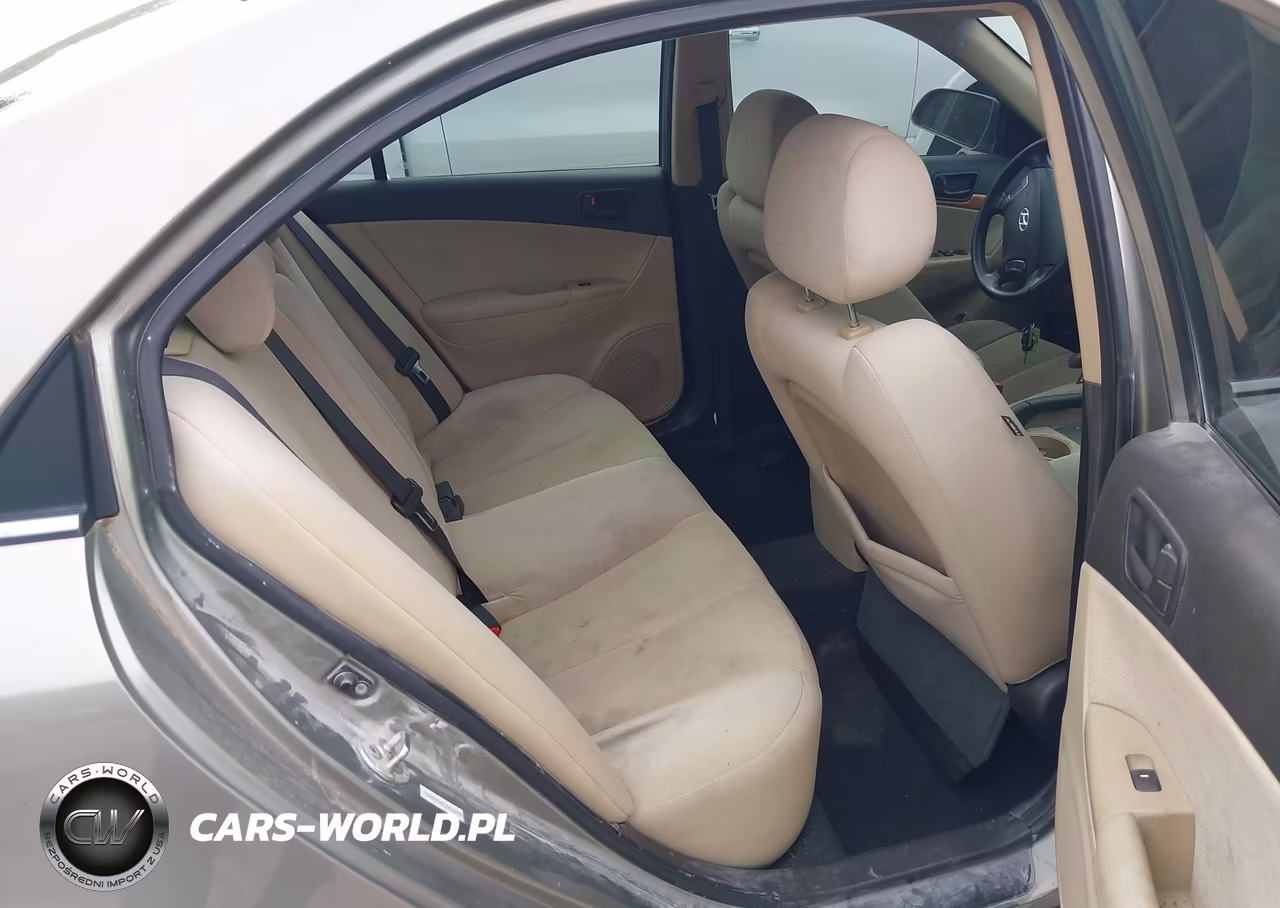 2010 Hyundai Sonata Gls VIN:5NPET4AC6AH616688 - 8