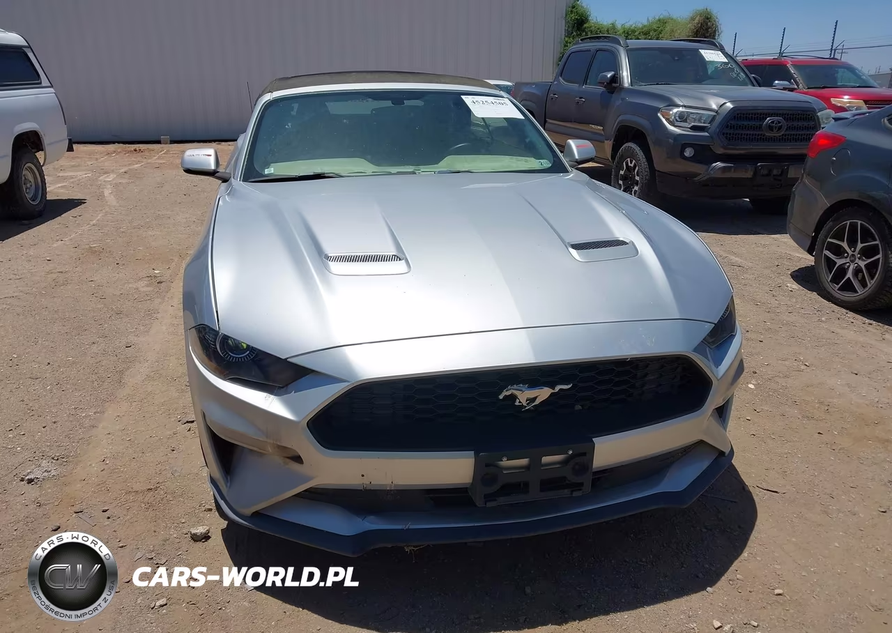 2018 Ford Mustang Ecoboost Premium VIN:1FATP8UH5J5132544 - 12