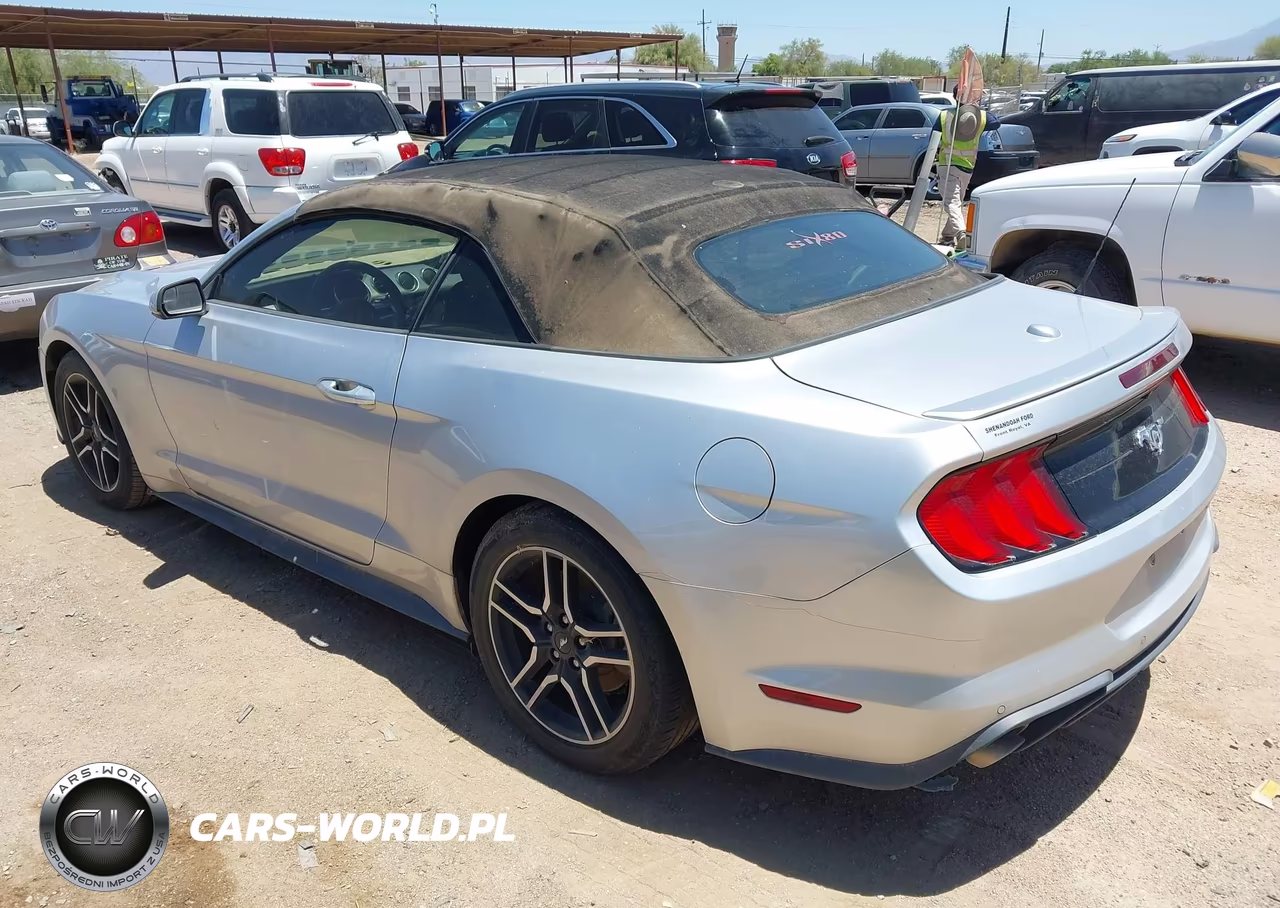 2018 Ford Mustang Ecoboost Premium VIN:1FATP8UH5J5132544 - 3
