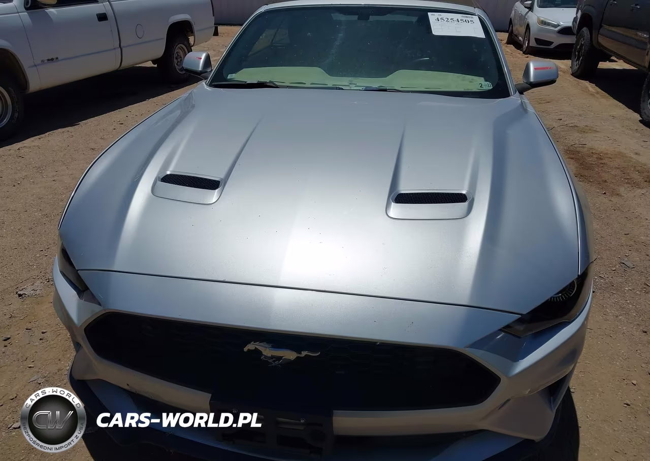 2018 Ford Mustang Ecoboost Premium VIN:1FATP8UH5J5132544 - 6