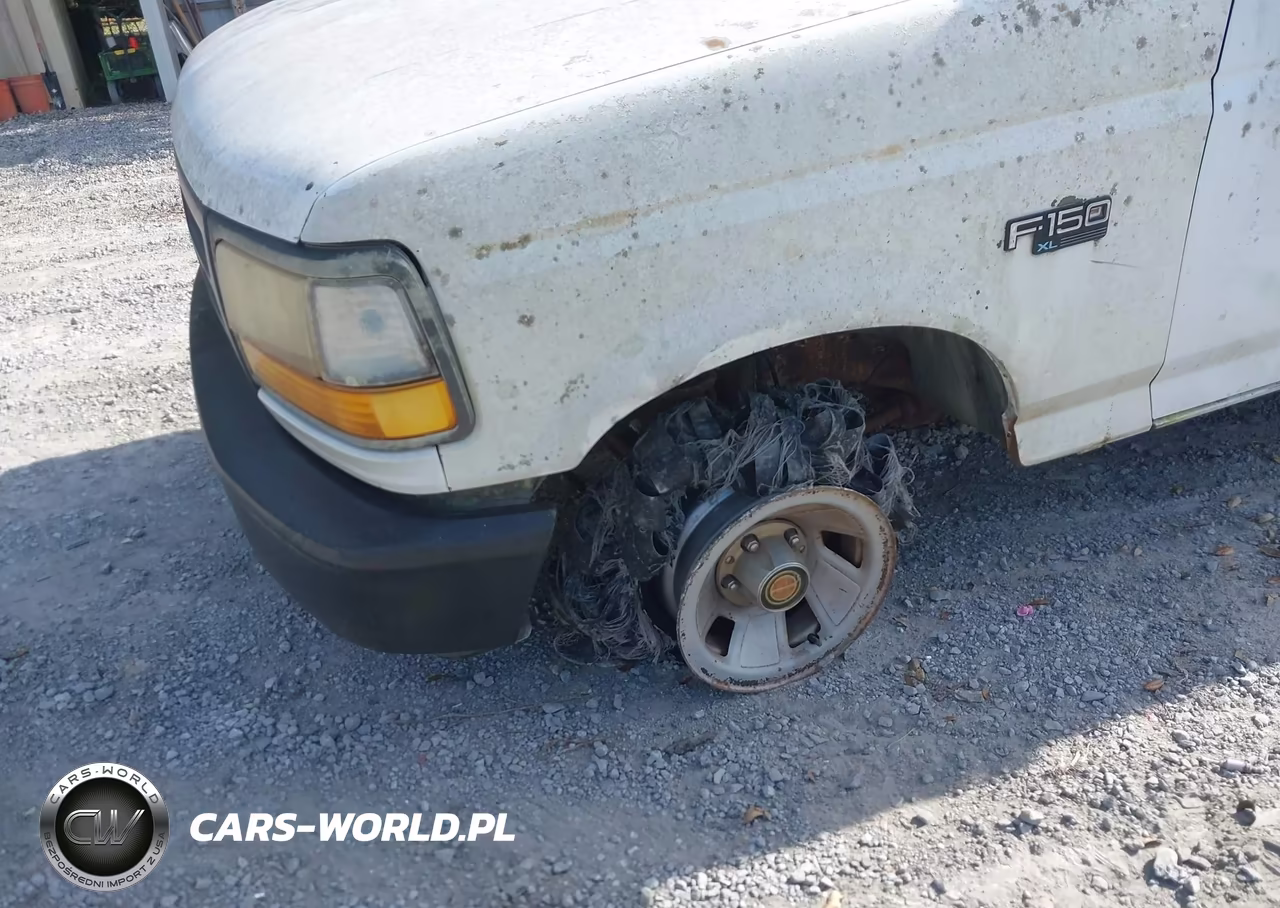 1993 Ford F150 VIN:1FTDF15Y5PNA07236 - 6