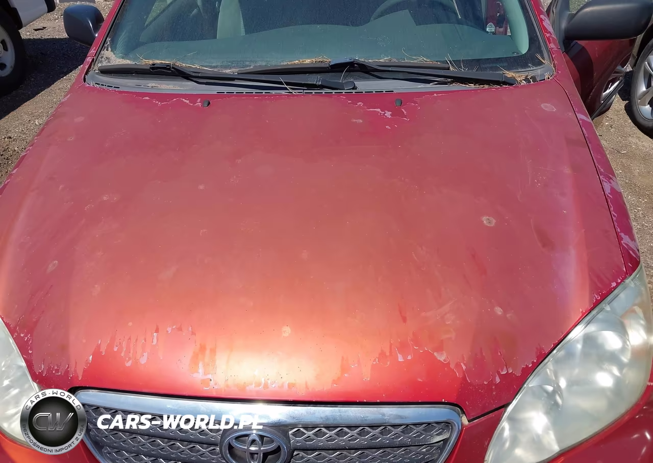 2005 Toyota Corolla Ce VIN:JTDBR32E250054772 - 6