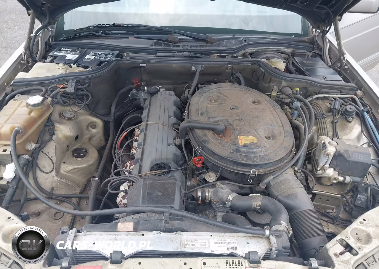 1990 Mercedes-Benz 300 Se VIN:WDBCA24D0LA533644 - 10