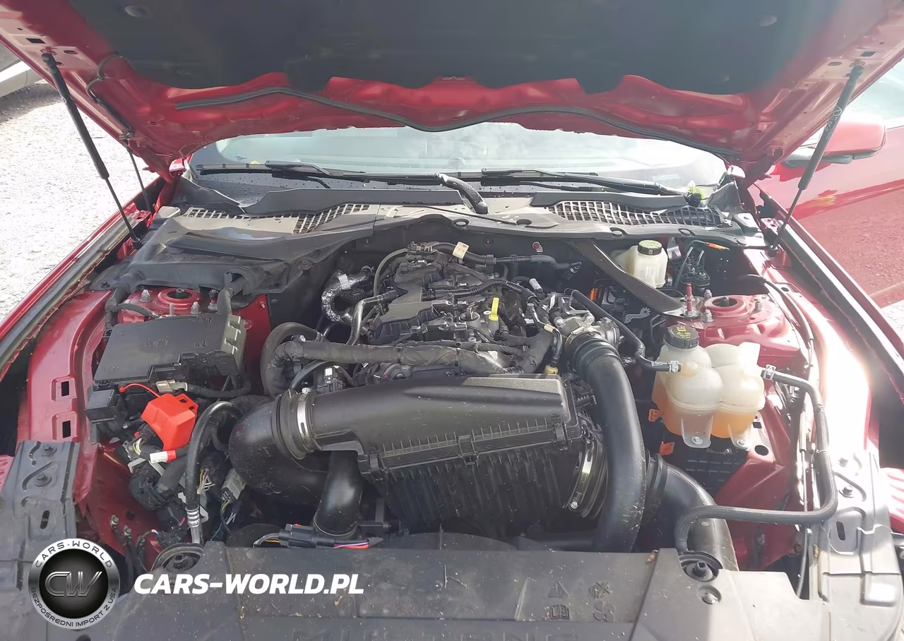 2024 Ford Mustang Ecoboost Premium VIN:1FAGP8UH1R5110697 - 10