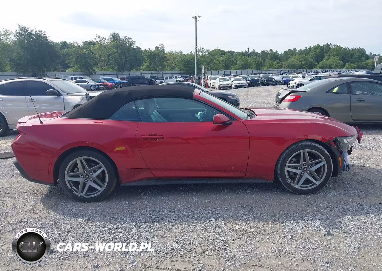 2024 Ford Mustang Ecoboost Premium VIN:1FAGP8UH1R5110697 - 13