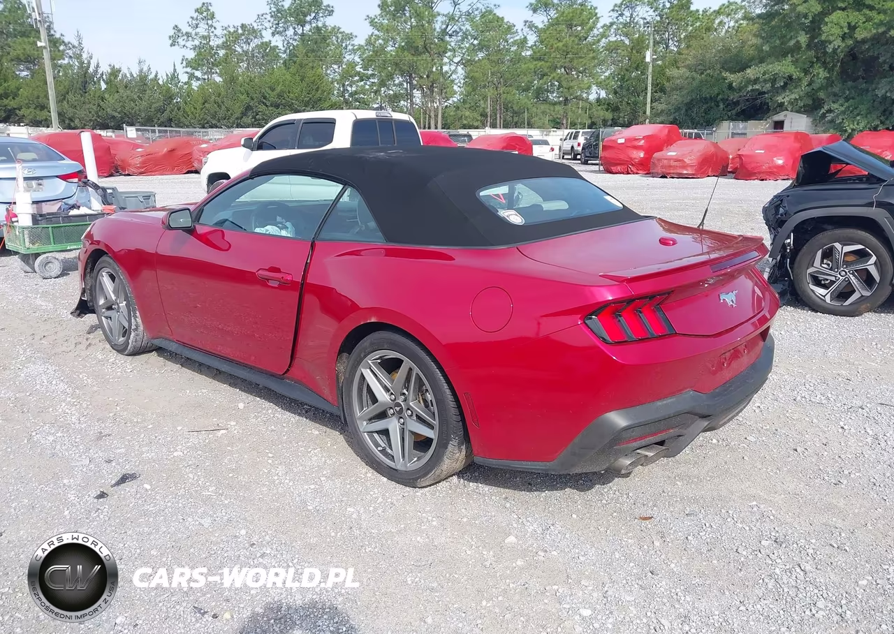 2024 Ford Mustang Ecoboost Premium VIN:1FAGP8UH1R5110697 - 3