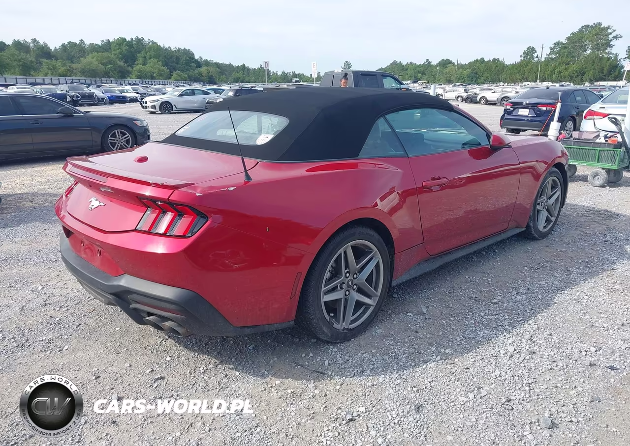 2024 Ford Mustang Ecoboost Premium VIN:1FAGP8UH1R5110697 - 4