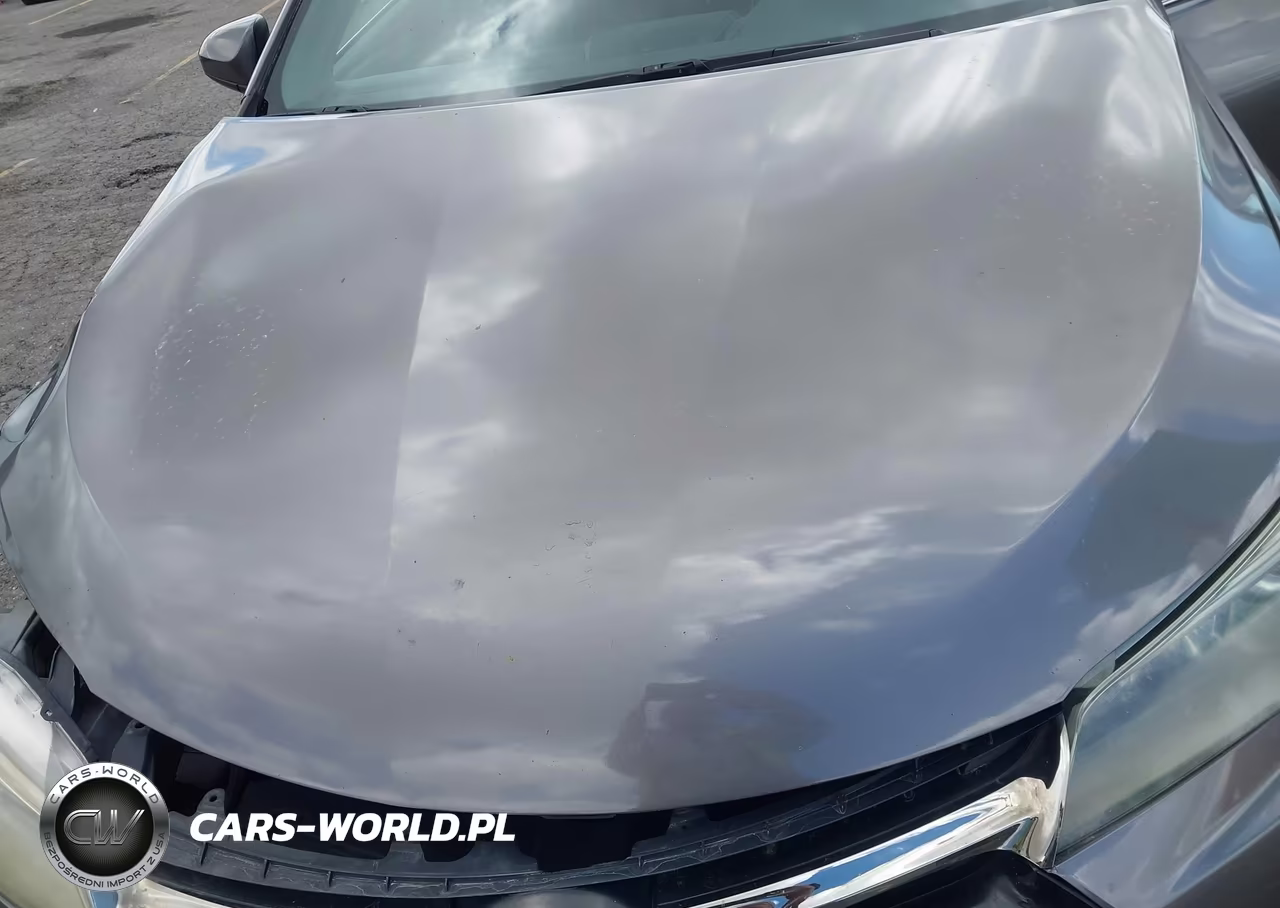 2017 Toyota Camry Hybrid Se VIN:4T1BD1FKXHU206146 - 10