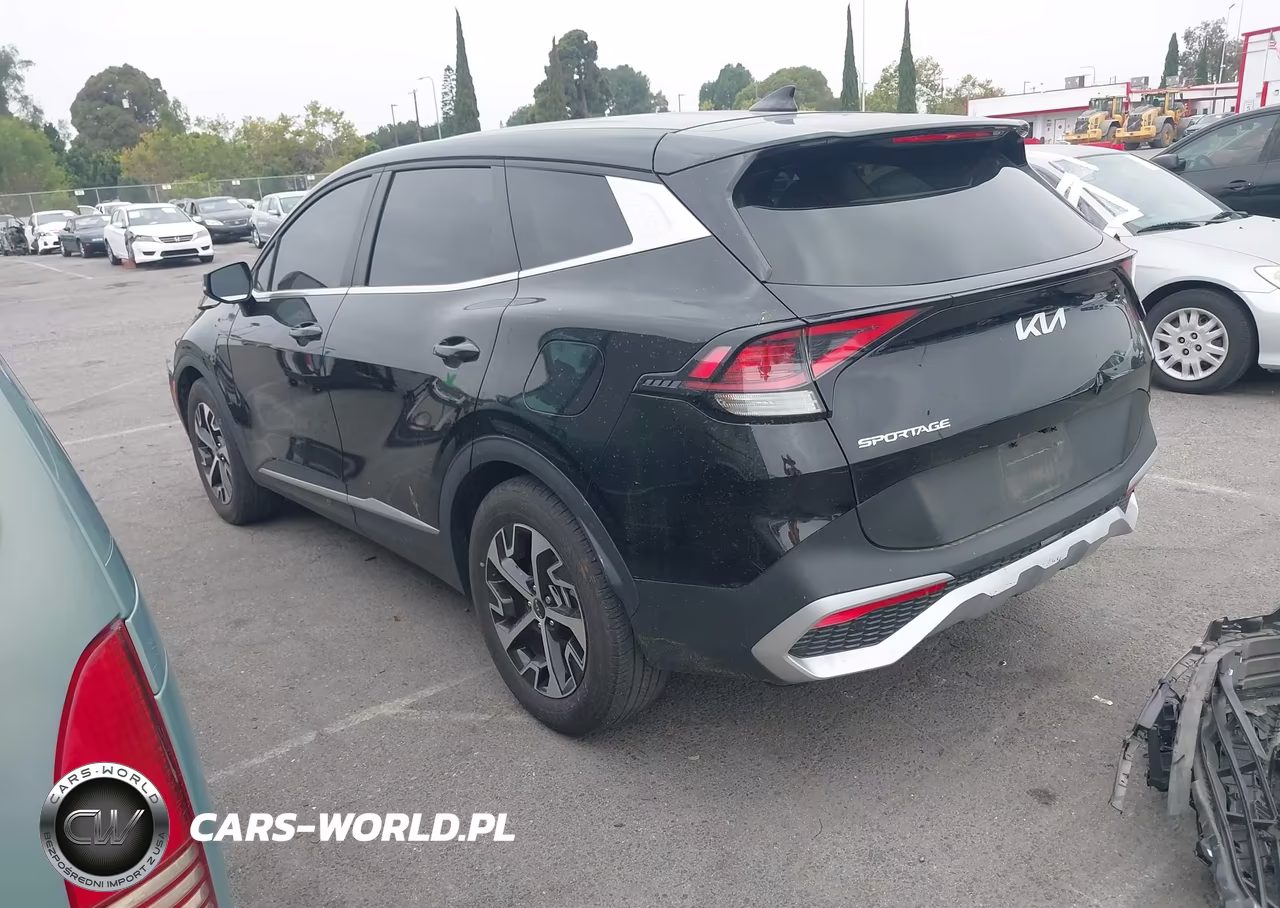 2024 Kia Sportage Ex VIN:5XYK33DF3RG218084 - 3