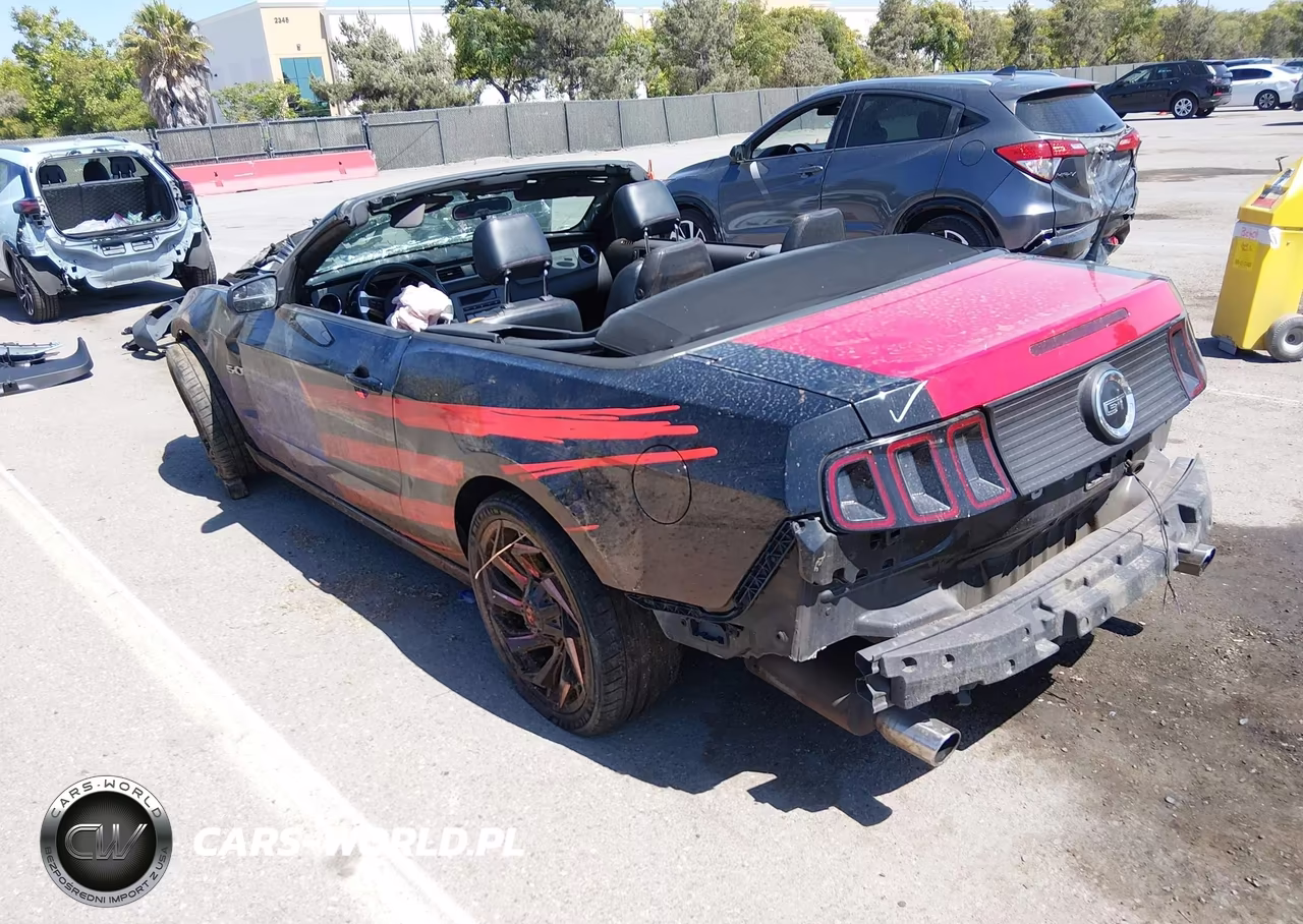 2013 Ford Mustang Gt VIN:1ZVBP8FF6D5209425 - 3