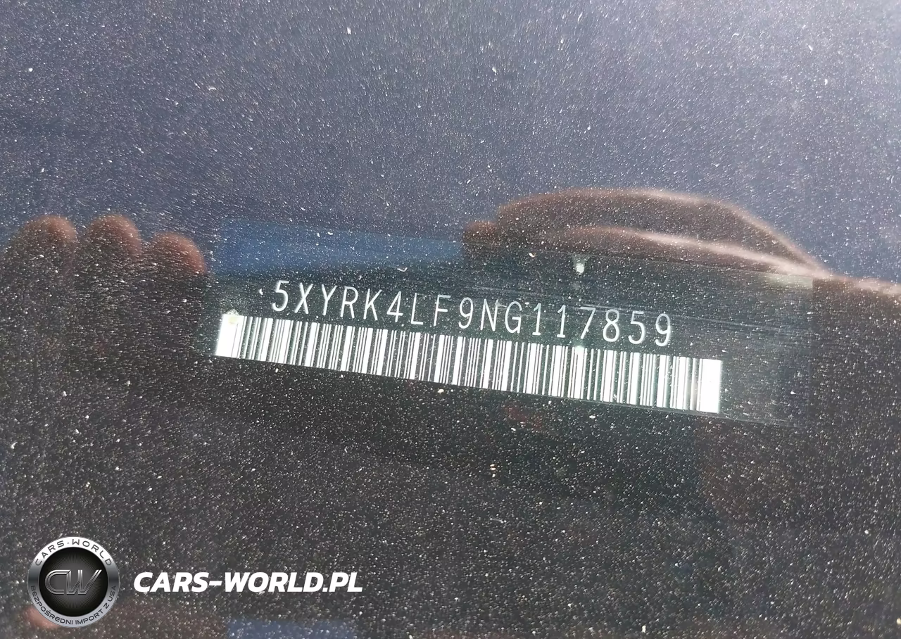 2022 Kia Sorento Sx VIN:5XYRK4LF9NG117859 - 17