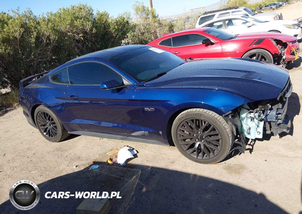 2020 Ford Mustang Gt Fastback VIN:1FA6P8CF9L5130568 - 13