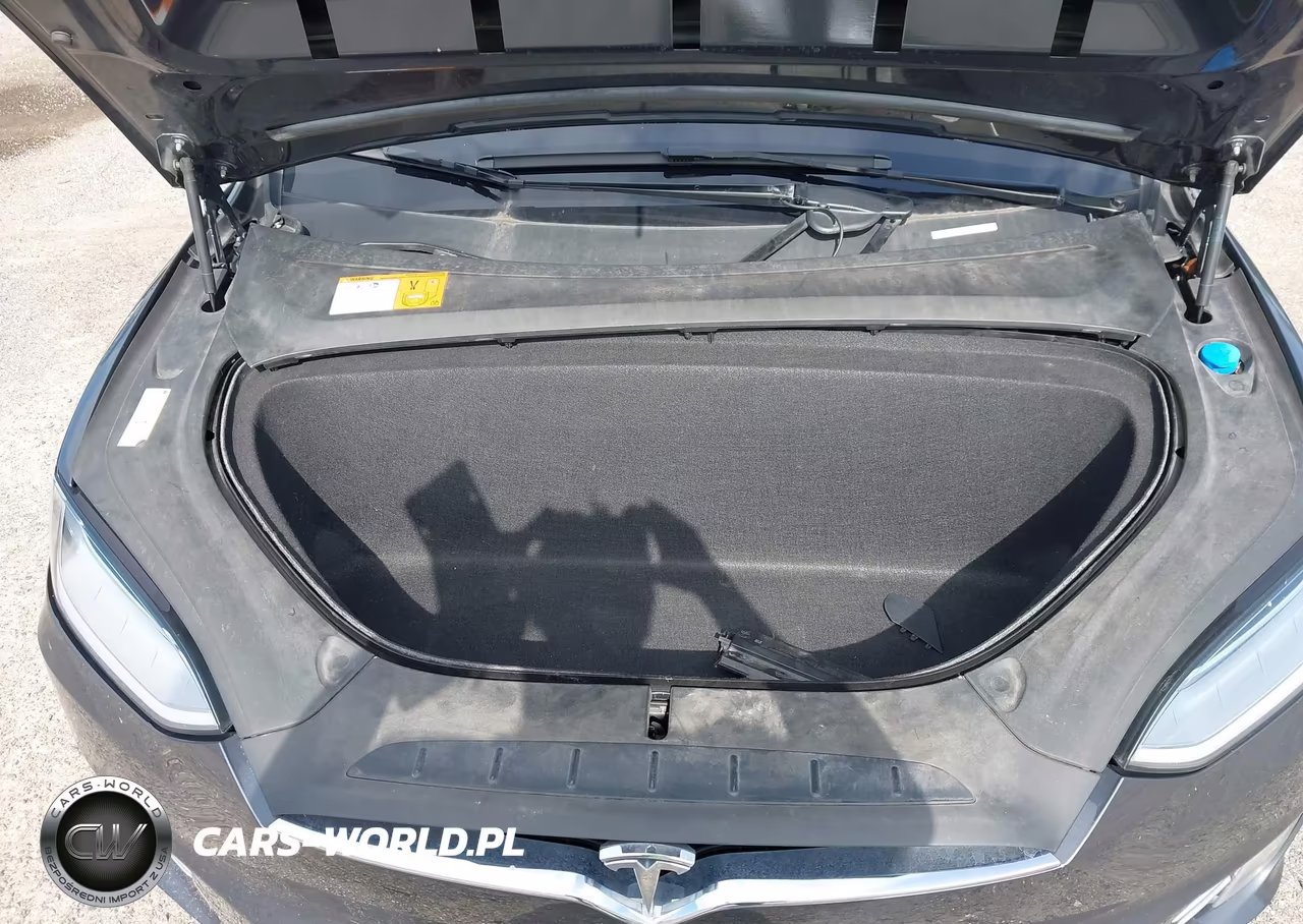 2016 Tesla Model X 60D-70D-75D-90D-P100D VIN:5YJXCBE23GF020444 - 10