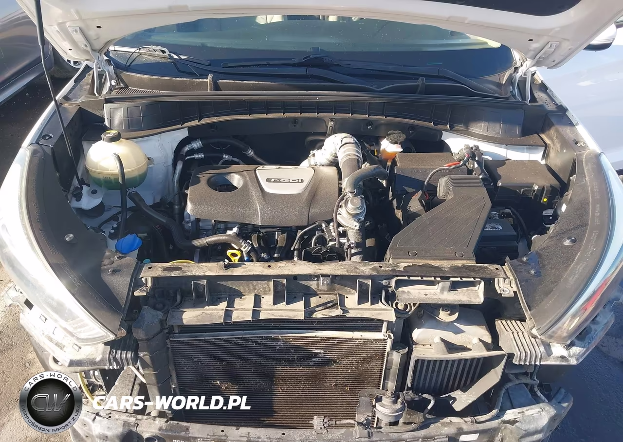 2017 Hyundai Tucson Eco VIN:KM8J33A2XHU415727 - 10