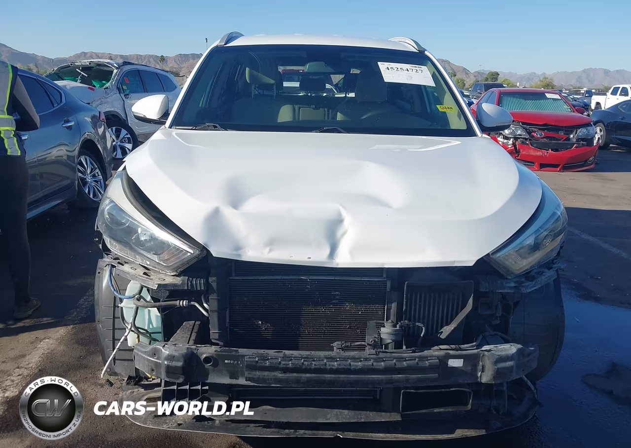 2017 Hyundai Tucson Eco VIN:KM8J33A2XHU415727 - 13