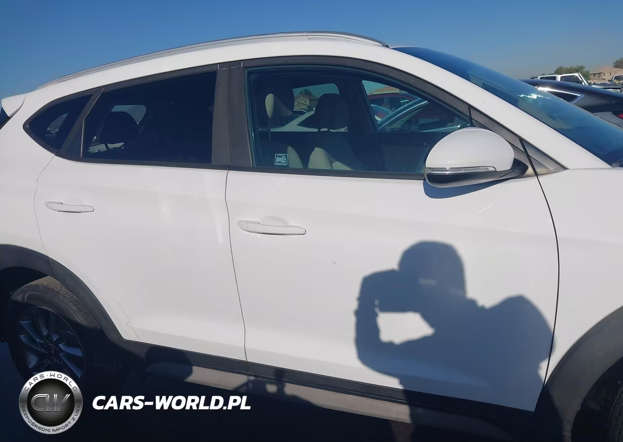 2017 Hyundai Tucson Eco VIN:KM8J33A2XHU415727 - 14