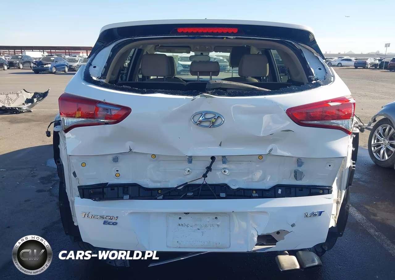 2017 Hyundai Tucson Eco VIN:KM8J33A2XHU415727 - 17