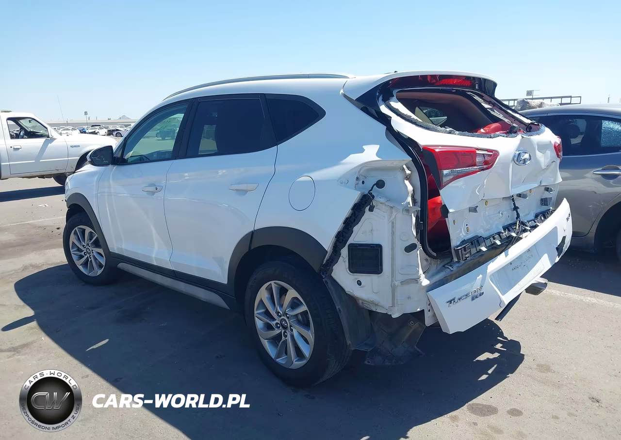 2017 Hyundai Tucson Eco VIN:KM8J33A2XHU415727 - 3