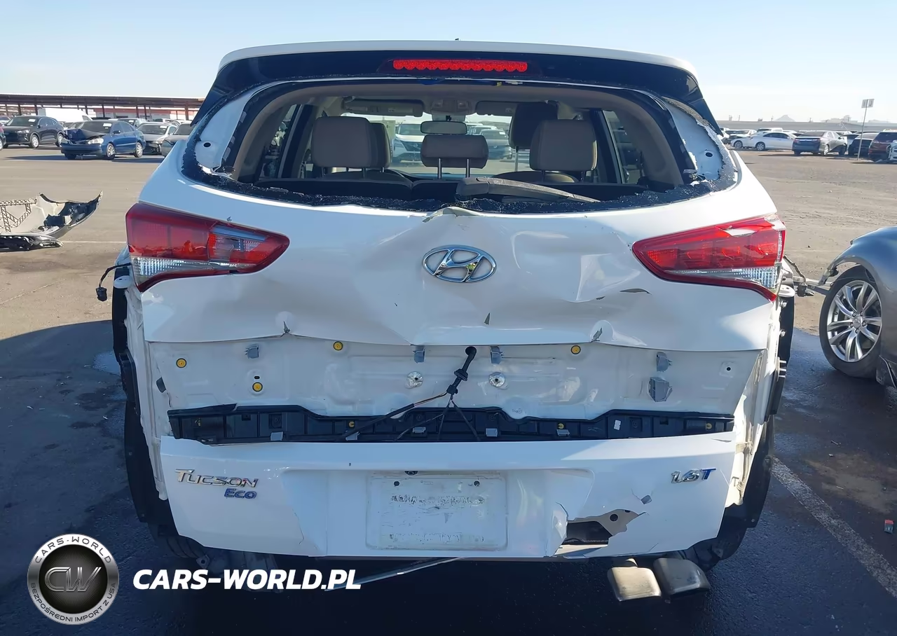 2017 Hyundai Tucson Eco VIN:KM8J33A2XHU415727 - 6